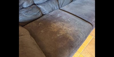 Mold on Sofa